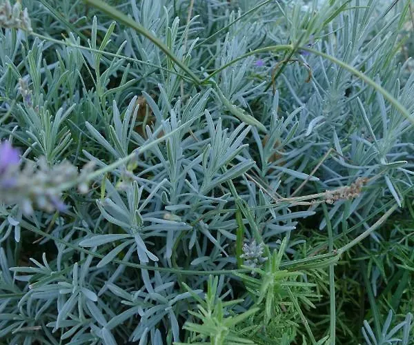 Appartement Retro Chic Magdalena