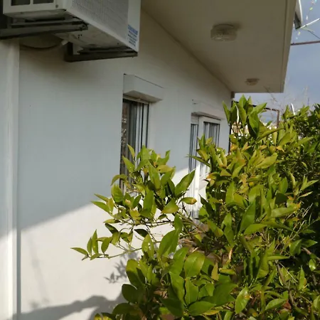 Retro Chic Magdalena トロギール